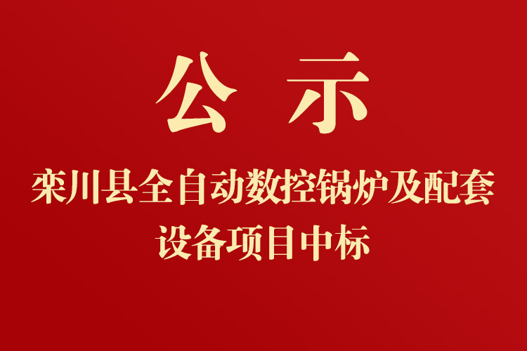 欒川一高新校區全自動數控鍋爐及配套設備